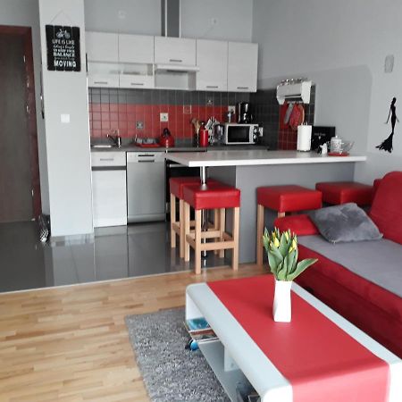 Przytulny Apartamencik 达洛科 外观 照片